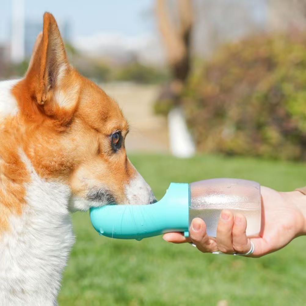 Outdoor Adventure Walks - Köpekler ve kediler için taşınabilir evcil