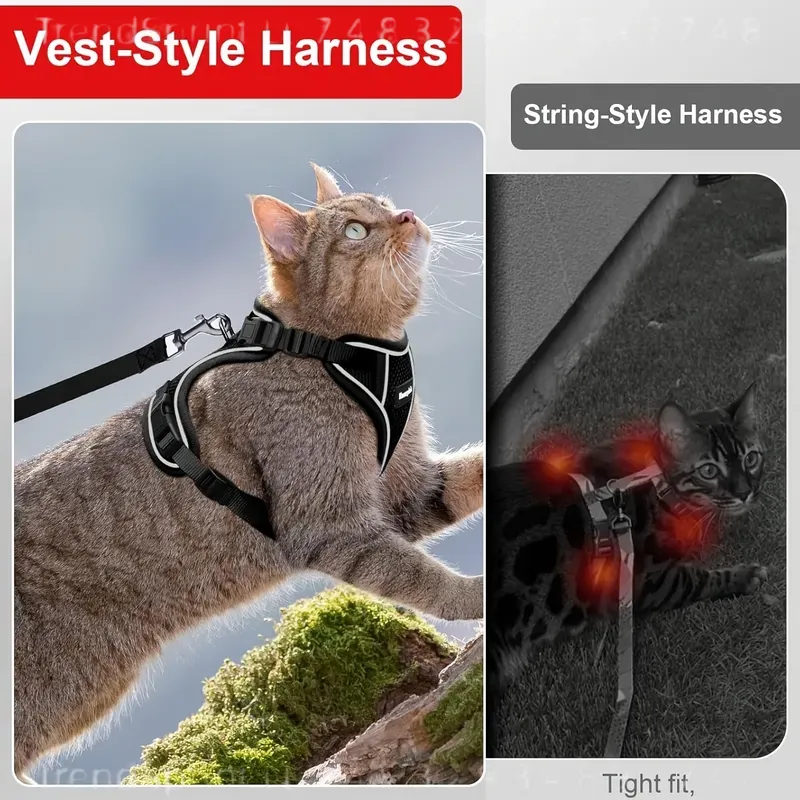 Kedi Göğüs Tasması ve Tasma Se - Outdoor Adventure Walks incelemesi ve fiyatı